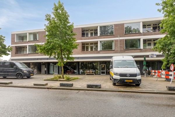 Laan van Nieuw Blankenburg 280, 3181 AL Rozenburg